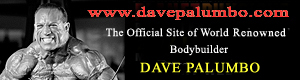 www.davepalumbo.com